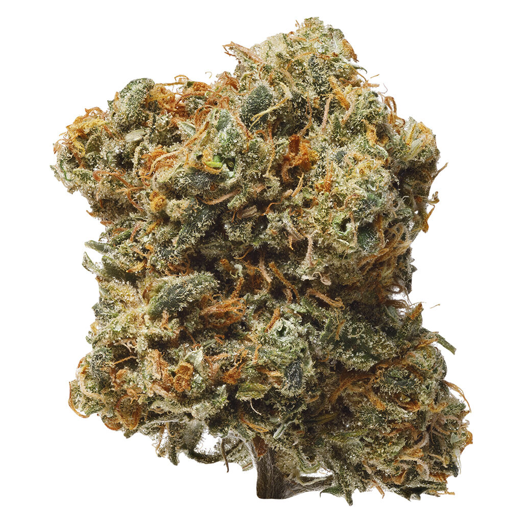 1964 - Blue Dream
