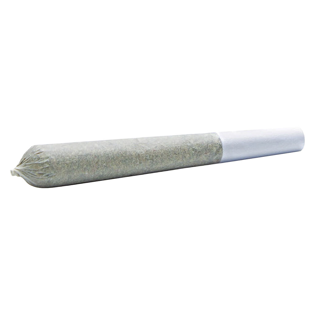 Wildlife Cannabis Co. - White Blaze Pre-Roll - Sativa - 10x0.35g