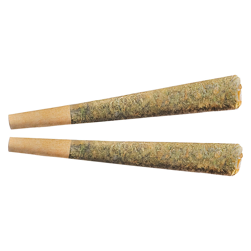Fuego - Night Rider Pre-Roll - Fuego - Night Rider - Indica Pre-Roll - 2x1g