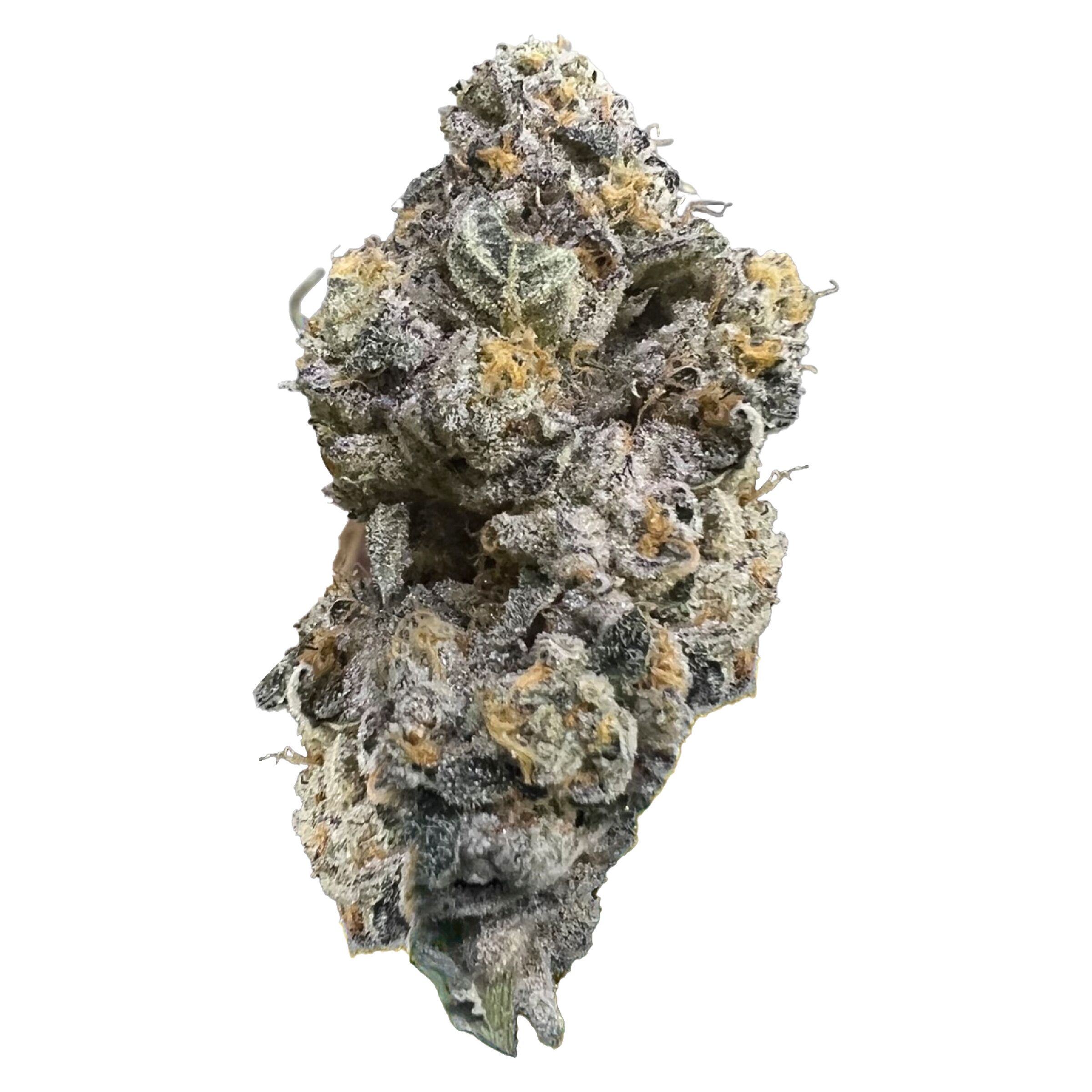 HighXotic - Royal Dive #3: Hindu Glue