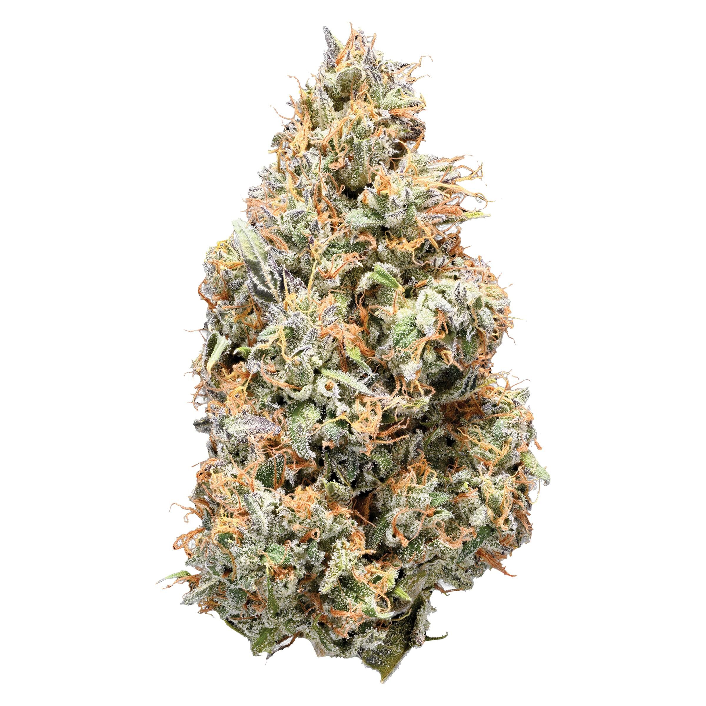 Nugz - Sativa