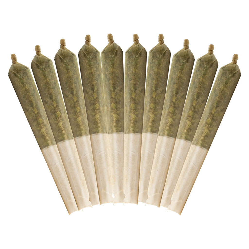 Buddy Blooms - Purple Haze Pre-Roll - Sativa - 10x0.5g